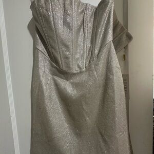 Meshki Glittering Silver Gown
